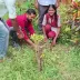 GOLI NARSAIAH
